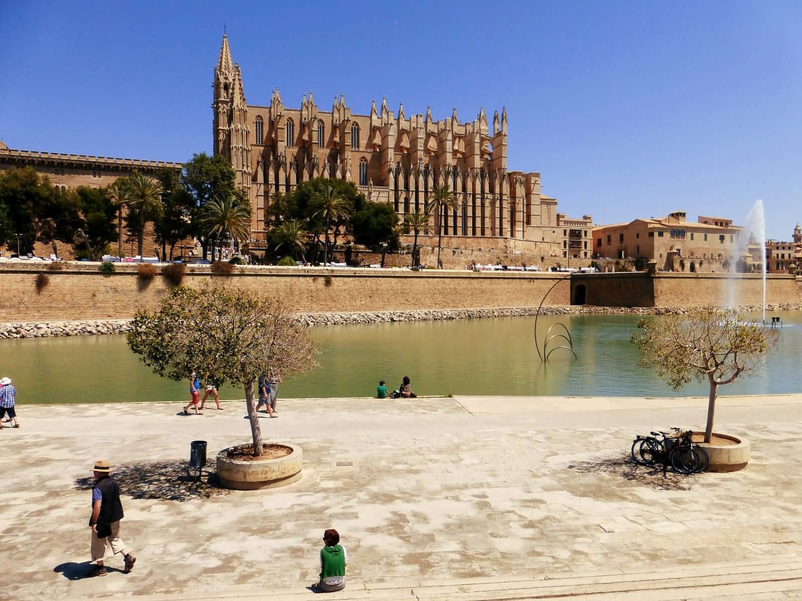 Outdoor View Of The Palma Cathedral