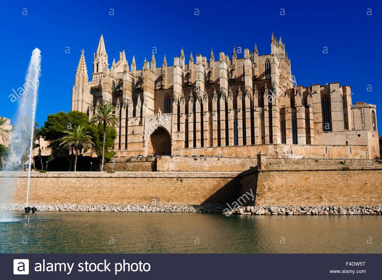 Palma Cathedral And Fountain Picture