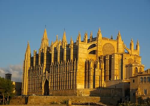 Palma Cathedral General View