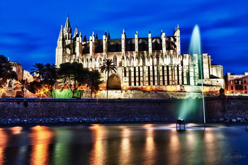 Palma Cathedral Lit Up At Night