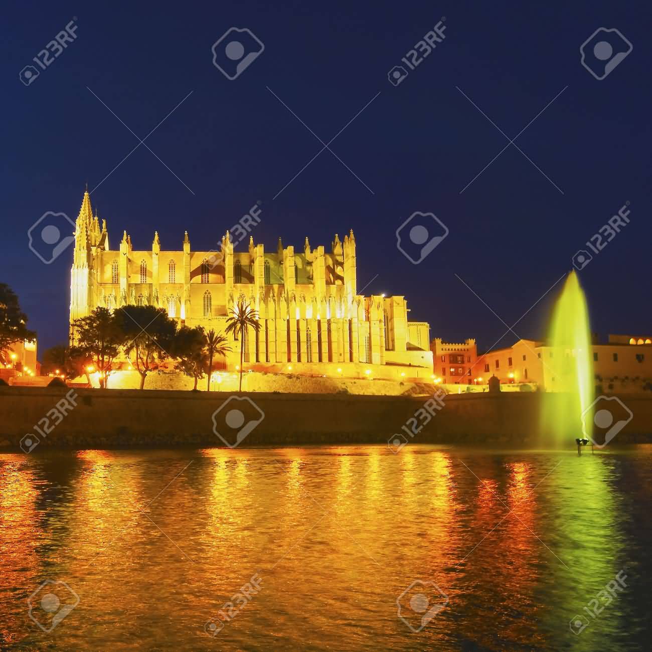 Palma Cathedral Looks Amazing With Night Lights