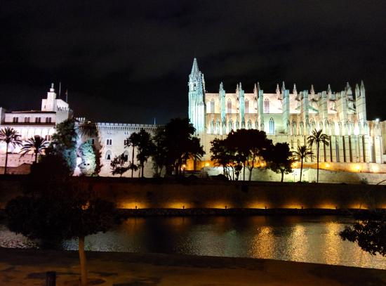 Palma Cathedral Night View