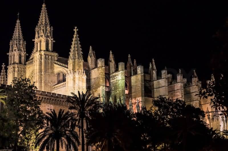 Palma Cathedral Night View