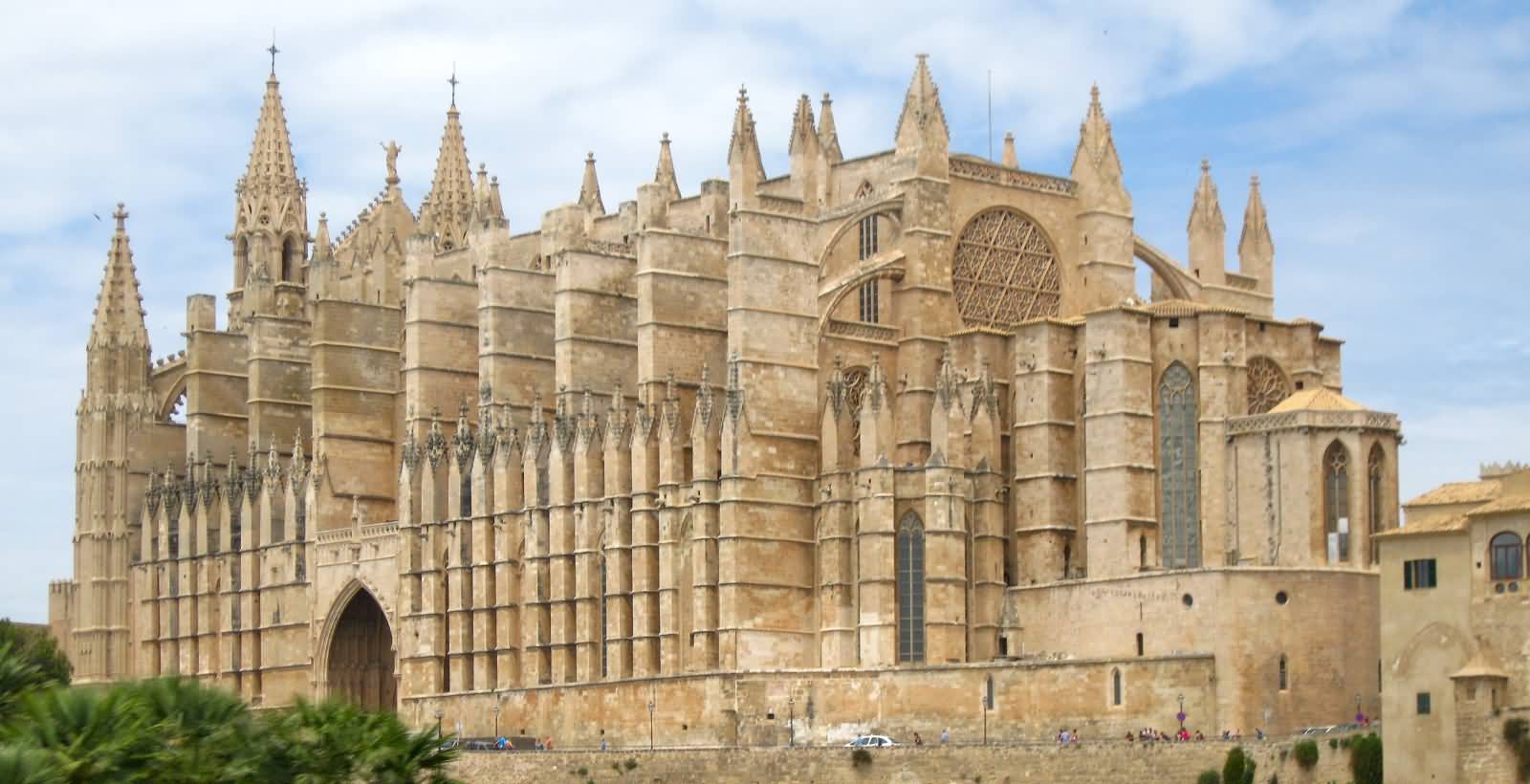 Palma Cathedral Picture