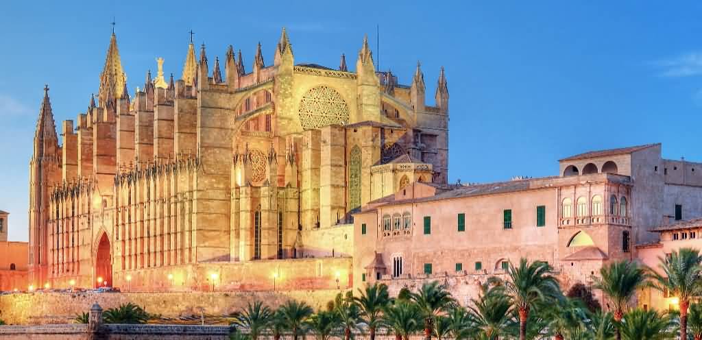 Palma Cathedral View At Dusk