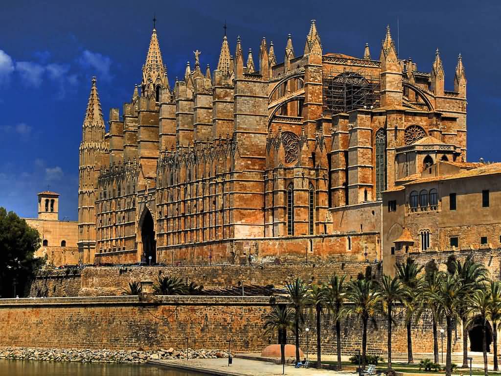 Palma Cathedral View