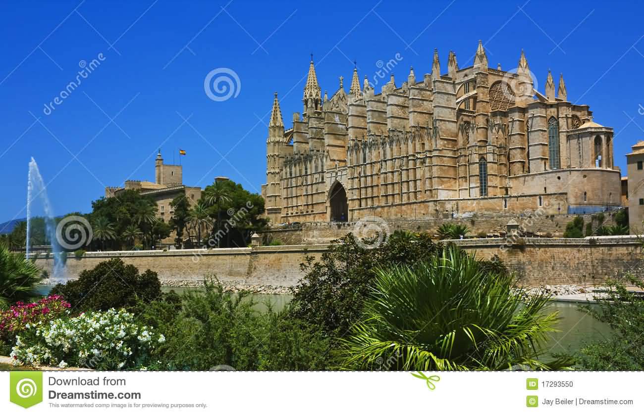 Palma Cathedral With Fountain