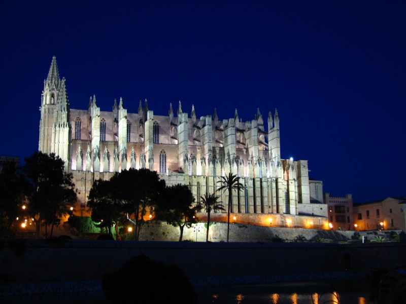 Palma Cathedral With Night Lights