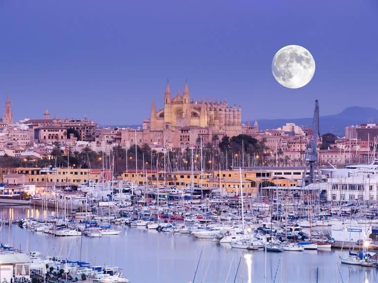 Palma Cathedral With Super Moon Looks Amazing