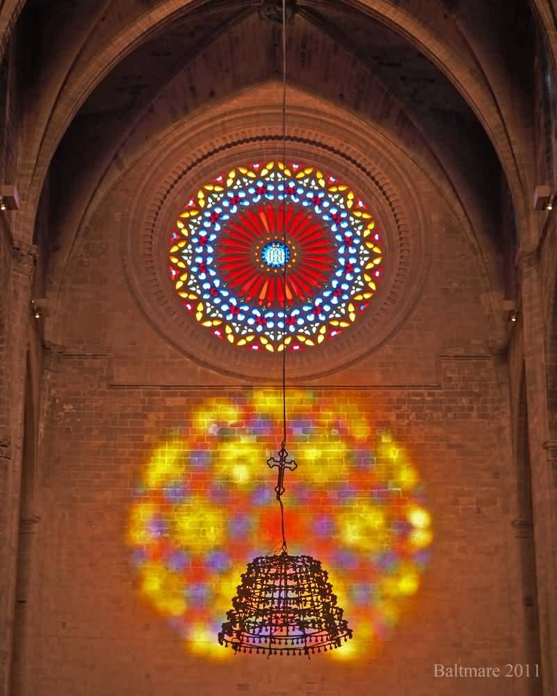 Reflection Of Rose Window Inside The Palma Cathedral