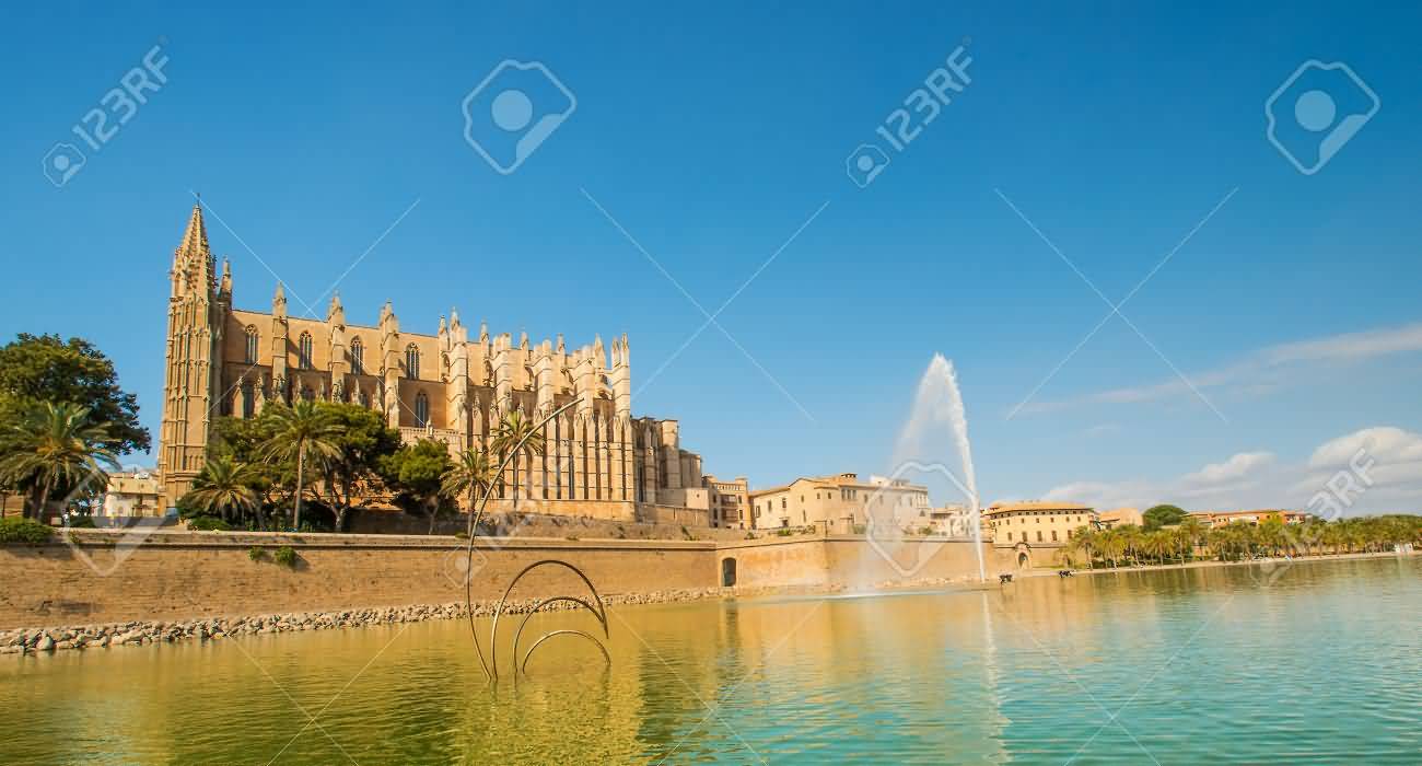 Santa Maria Cathedral Of Palma