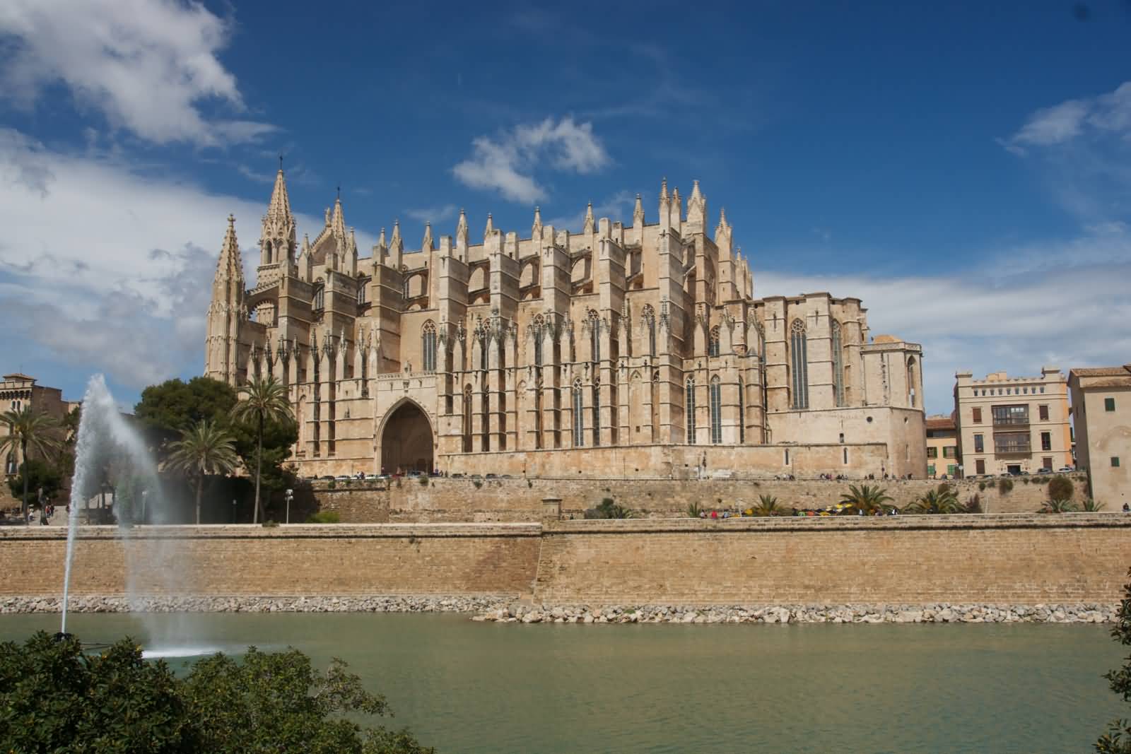 Side View Of The Palma Cathedral