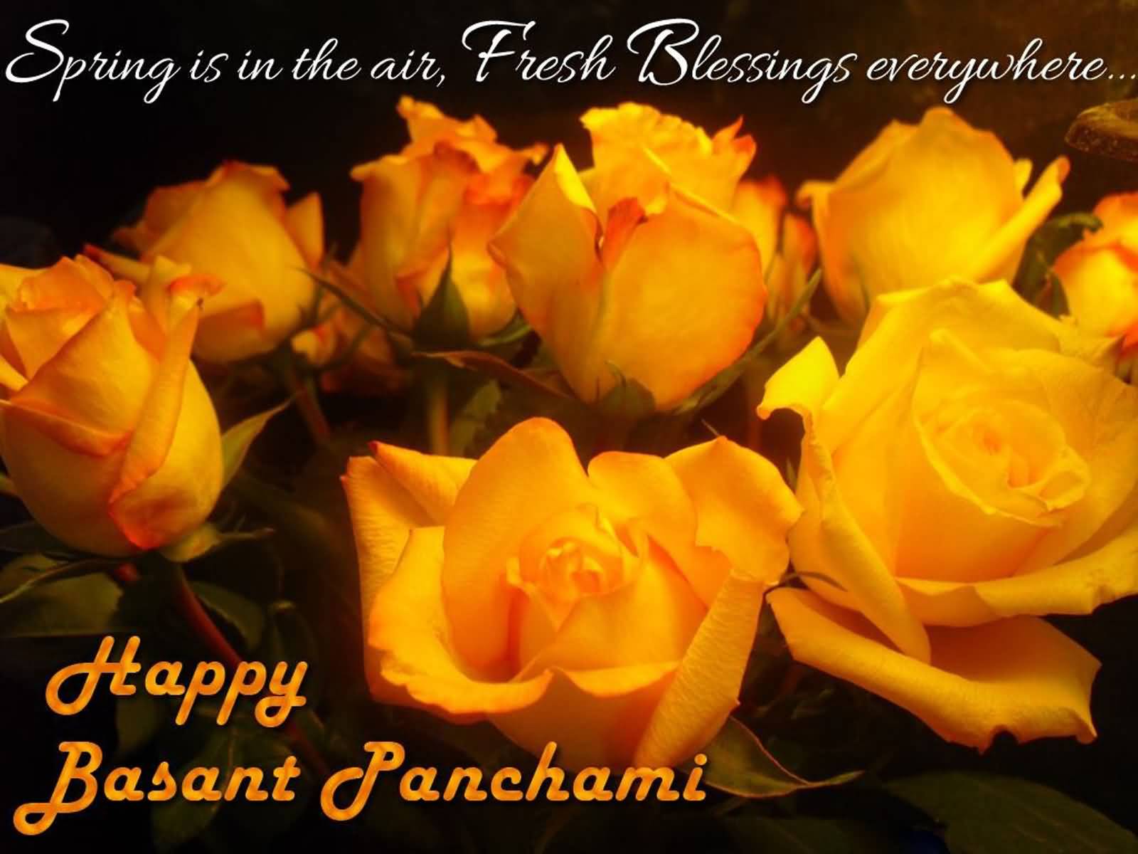 Spring Is In The Air, Fresh Blessings Everywhere Happy Basant Panchami