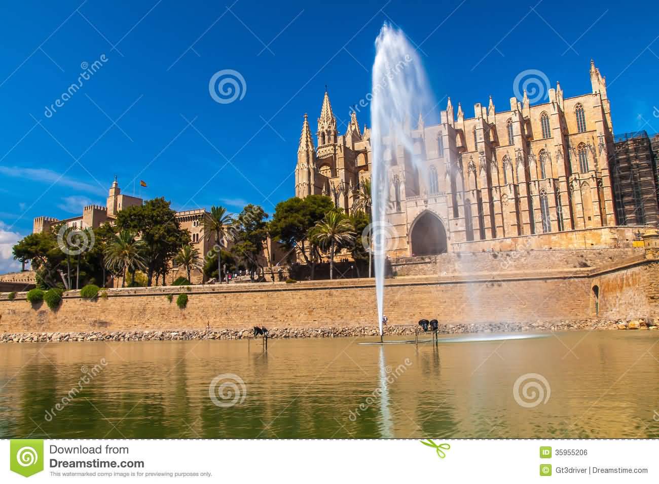 The Palma Cathedral And Fountain Picture