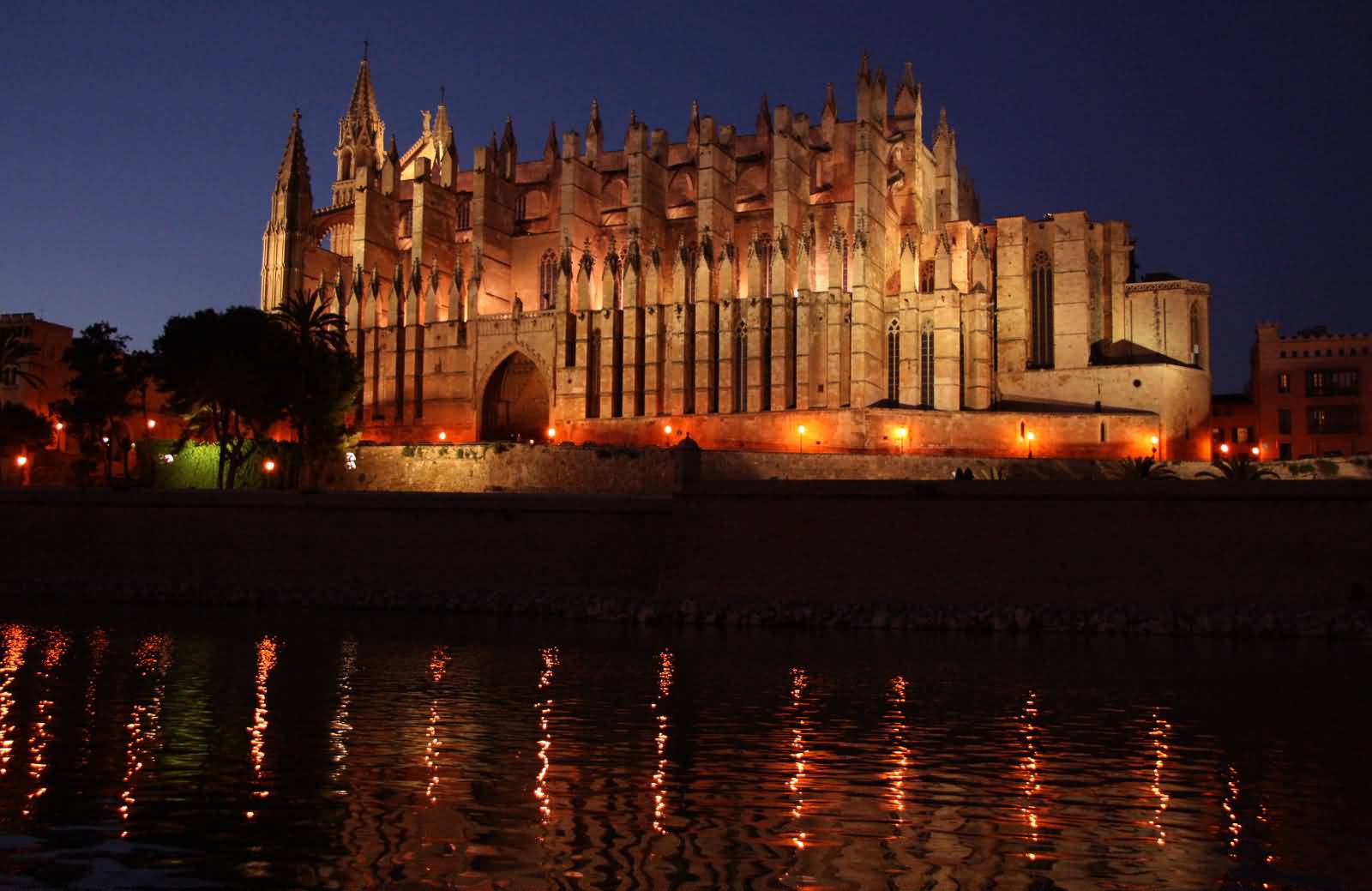 The Palma Cathedral Lit Up At Night