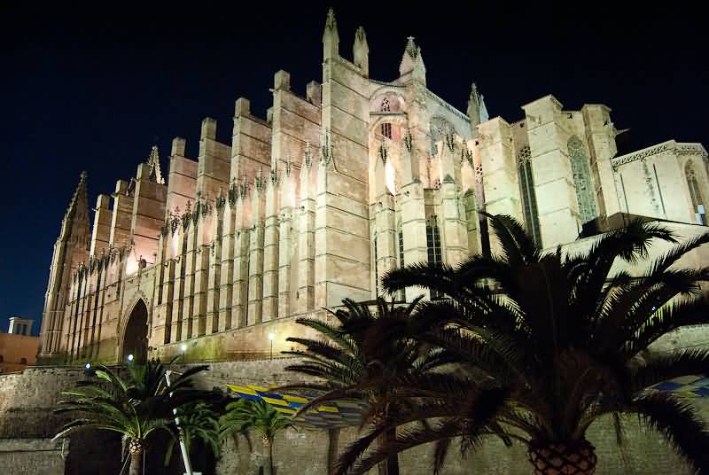 The Palma Cathedral Lit Up At Night