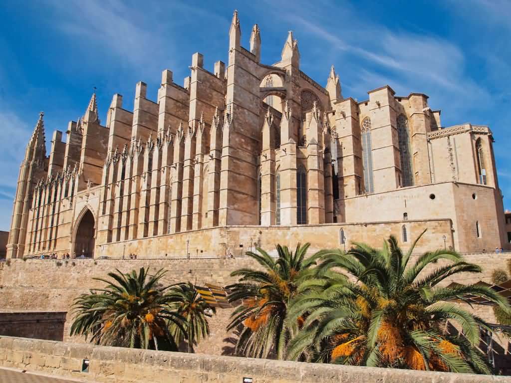 The Palma Cathedral View