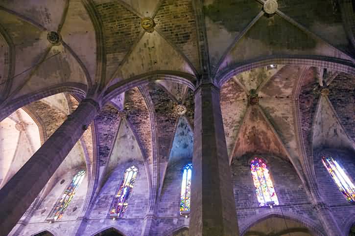 Vaults Of The Nave Inside The Palma Cathedral