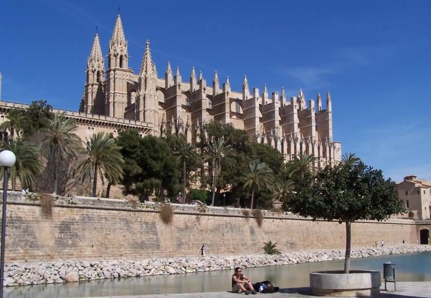 View Of The Palma Cathedral In Spain