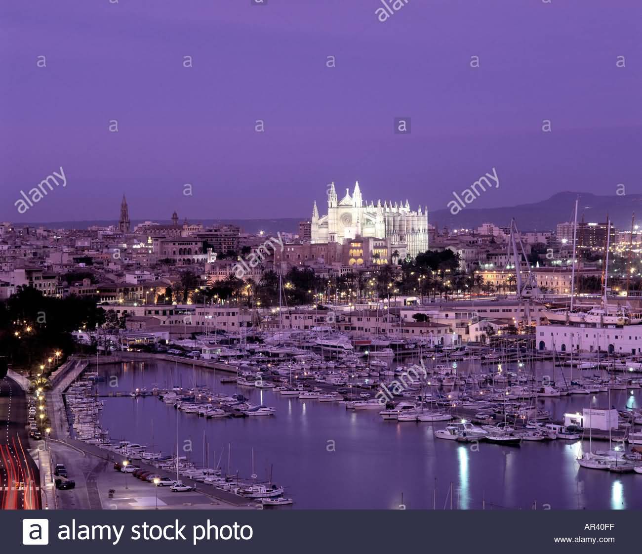 View Over Harbour And Palma Cathedral At Night