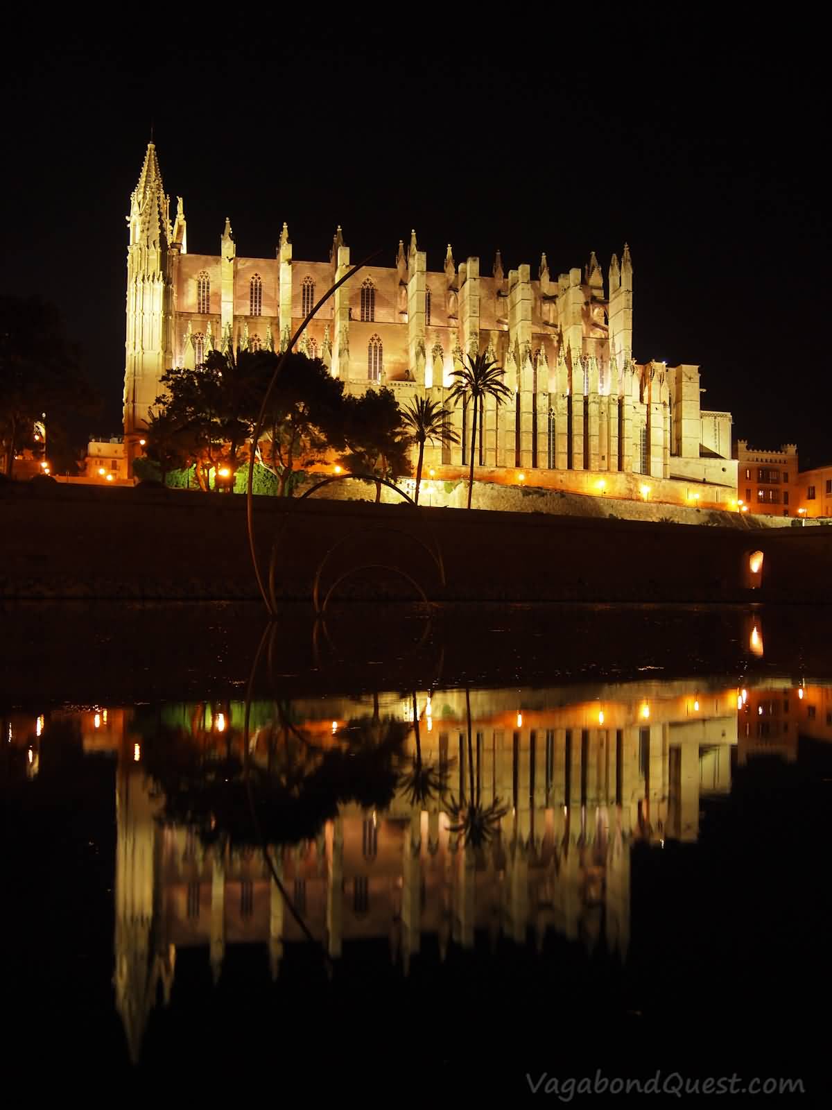 Water Reflection Of Palma Cathedral At Night