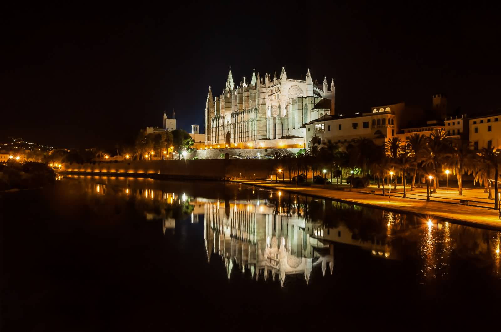 Water Reflection Of Palma Cathedral At Night