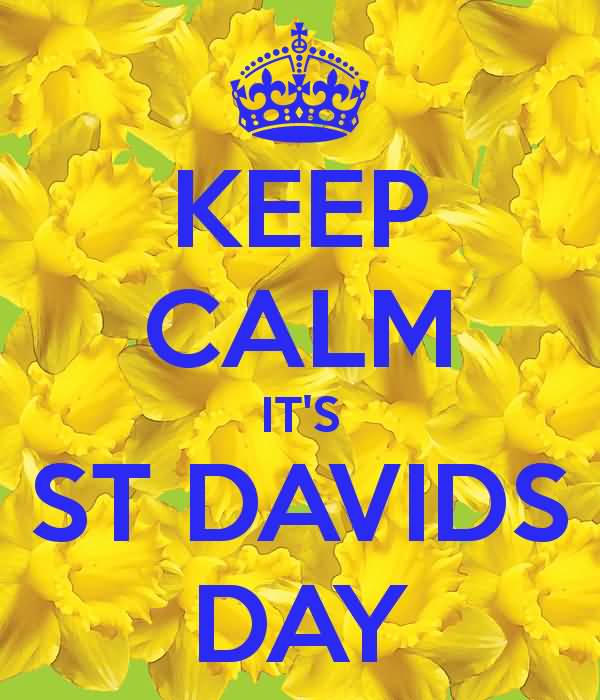 Keep Calm It's Saint David's Day Card