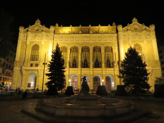 The Vigado Concert Hall Lit Up At Night