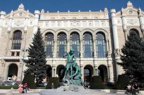 Vigado Concert Hall And Fountain Picture