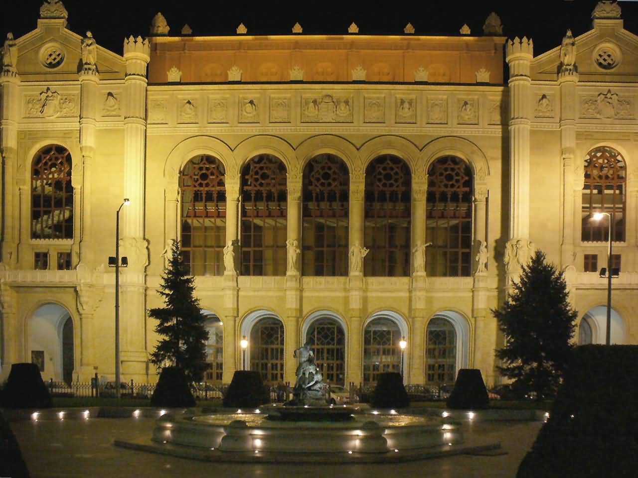 Vigado Concert Hall Night View