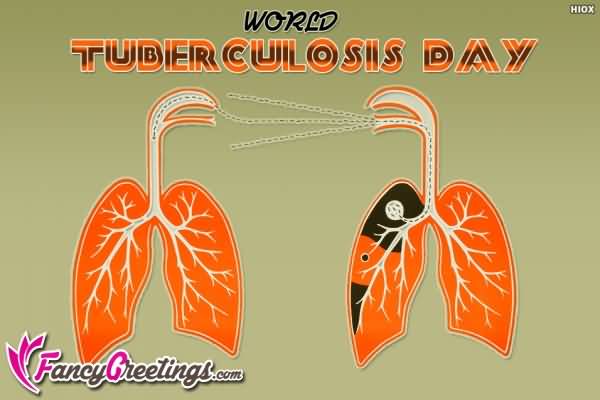 World Tuberculosis Day Lungs Picture