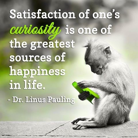 Satisfaction of one's curiosity is one of the greatest sources of happiness in life. Dr. Linus Pauling