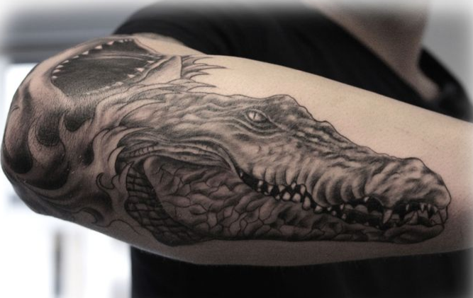 Awesome Black Ink Alligator Tattoo On Right Arm