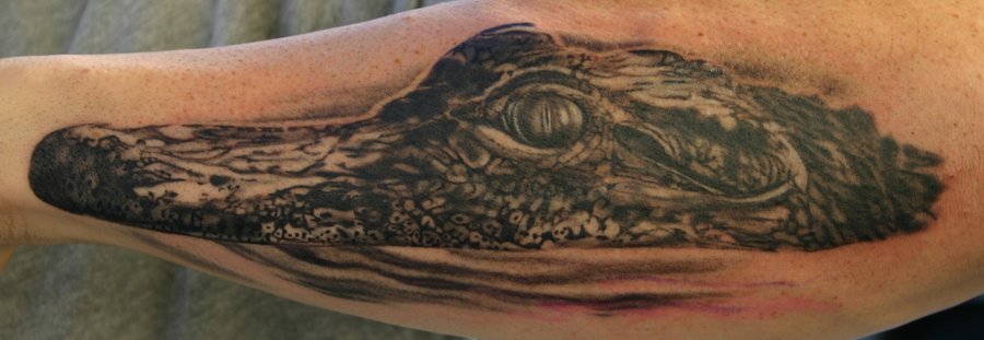 Black Ink Alligator Tattoo Design For Sleeve