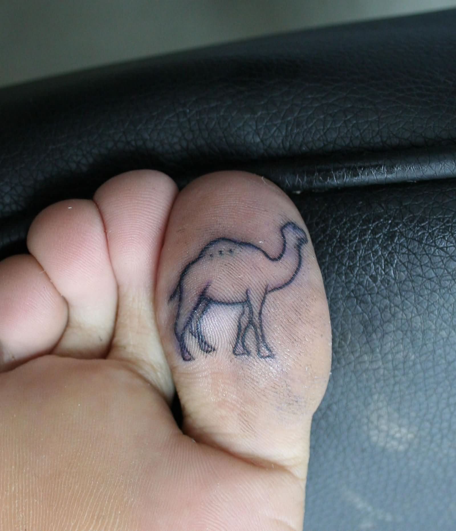 Camel tatoo on toe