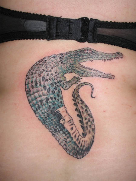 Classic Alligator Tattoo On Back