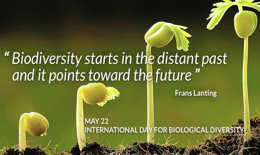 Biodiversity Starts In The Distant Past And It Points Toward The Future May 22 International Day For Biological Diversity