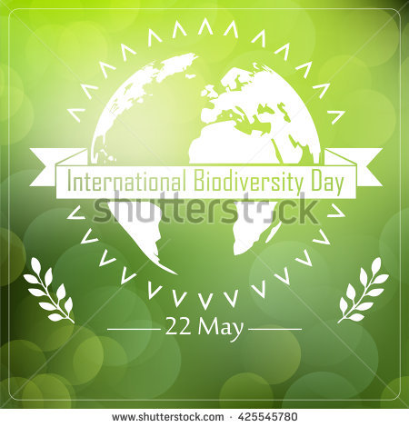 International Biodiversity Day 22 May Earth And Ribbon Illustration