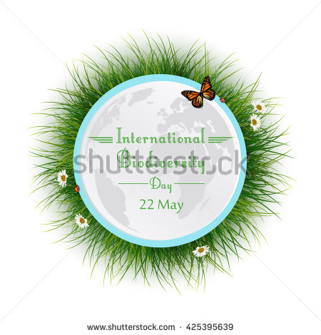 International Biodiversity Day 22 May Grass Frame