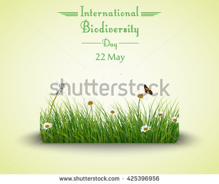 International Biodiversity Day 22 May Green Grass With Flowers And Butterflies Illustration