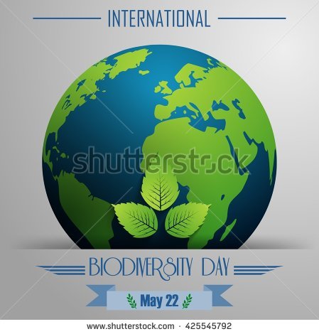 International Biodiversity Day May 22 Earth Globe