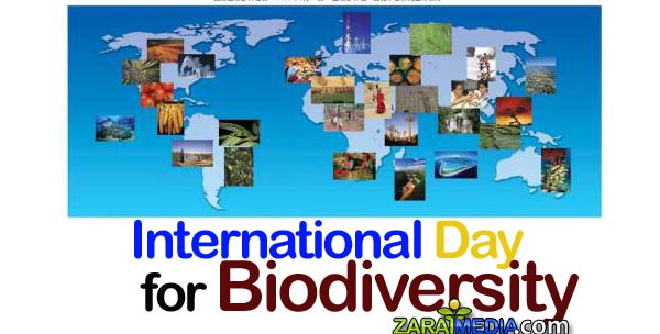 International Day For Biodiversity Card