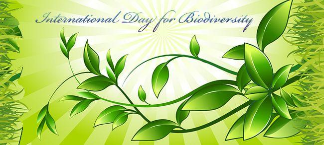 International Day For Biodiversity