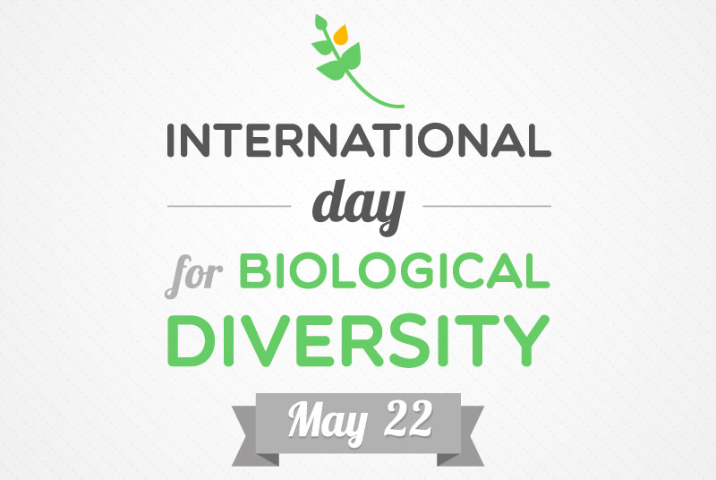 International Day For Biological Diversity May 22