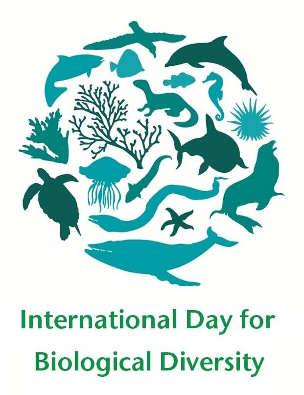 International Day For Biological Diversity