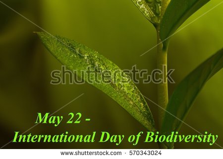 May 22 International Day Of Biodiversity