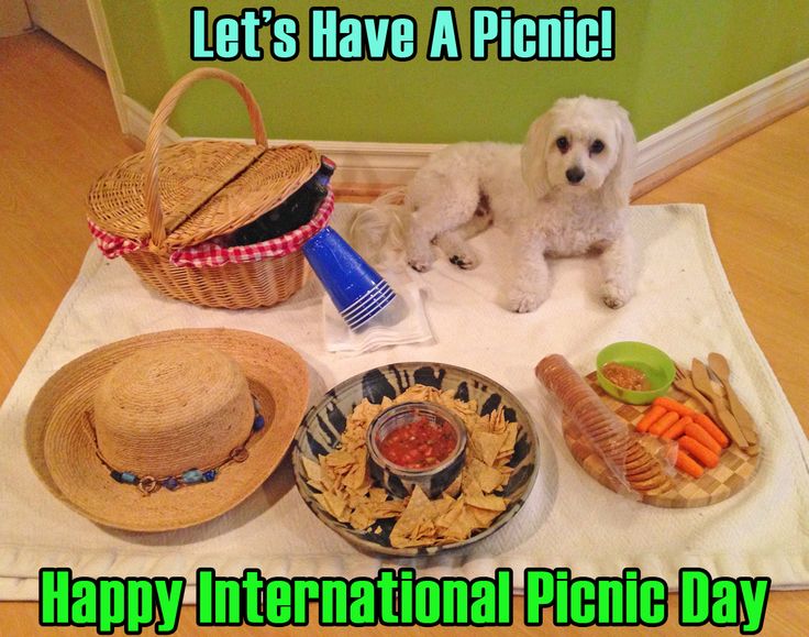 Let's Have A Picnic - Happy International Picnic Day