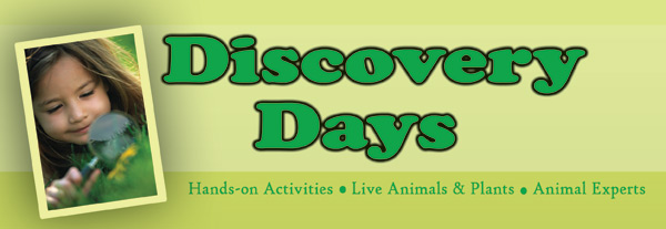 Discovery Days Graphic Picture