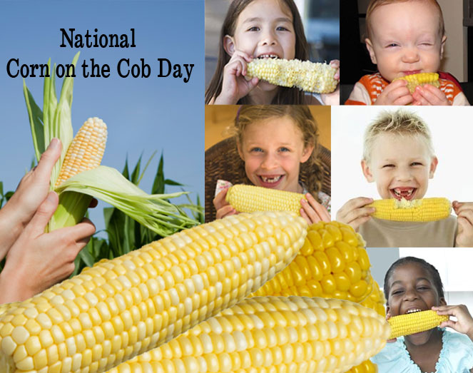 National Corn on the Cob Day Funny Picture