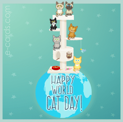 Happy World Cat Day Greeting Card